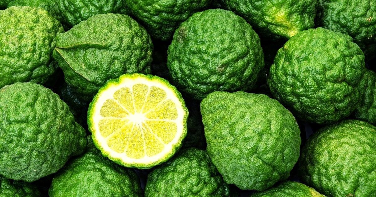 Bergamot Essential Oil